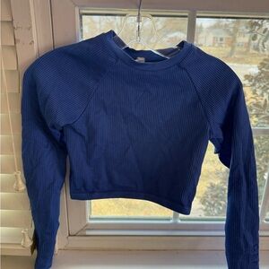 Royal Blue Offline Aerie long sleeve crop top